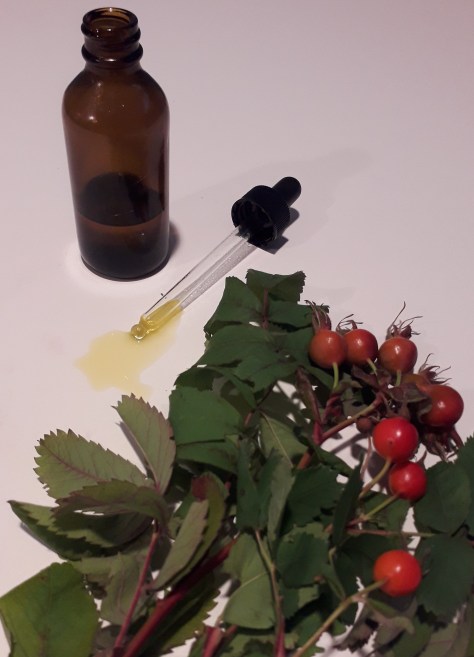 Rose Hip Serum.jpg