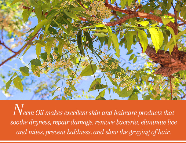 neem_oil_caption_image