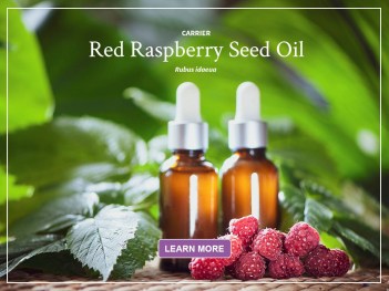 Raspberry Seed Oil